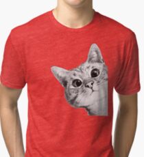 sneaky cat Tri-blend T-Shirt