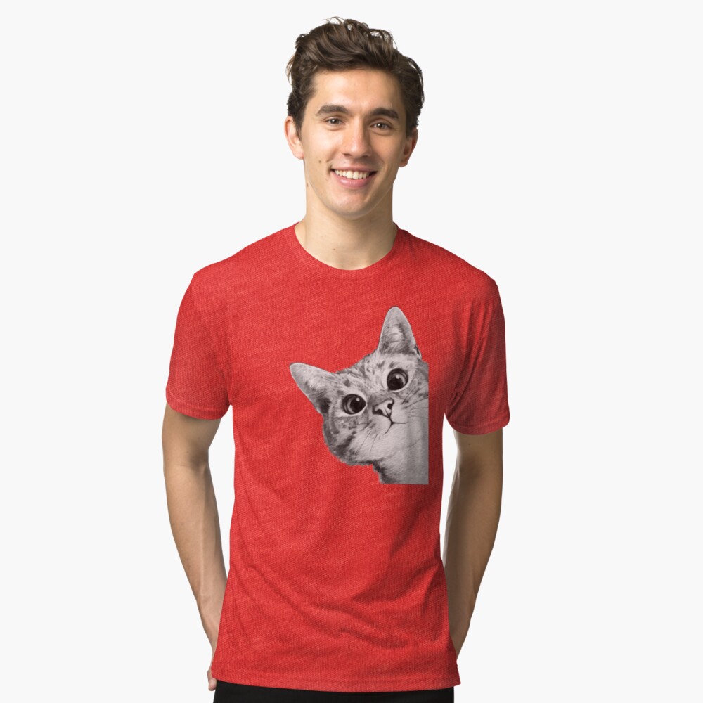 sneaky cat Tri-blend T-Shirt