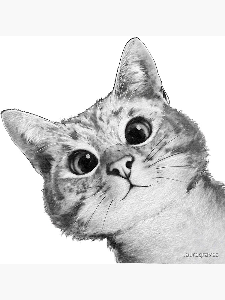 sneaky cat by lauragraves