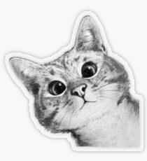 sneaky cat Transparent Sticker