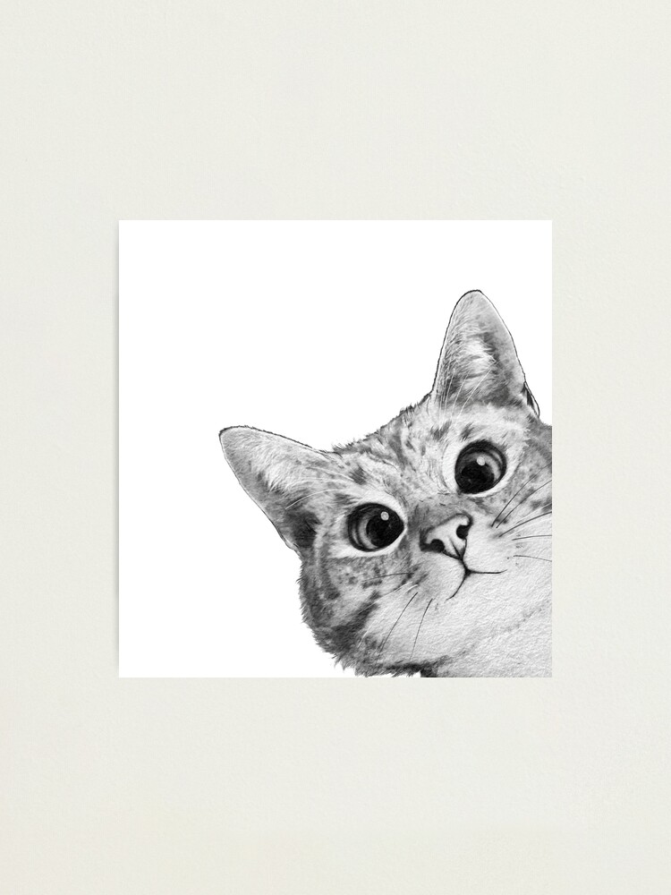 Alternate view of sneaky cat Photographic Print