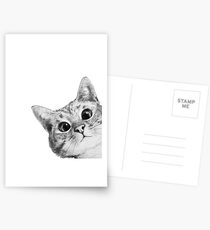 Postales gato furtivo