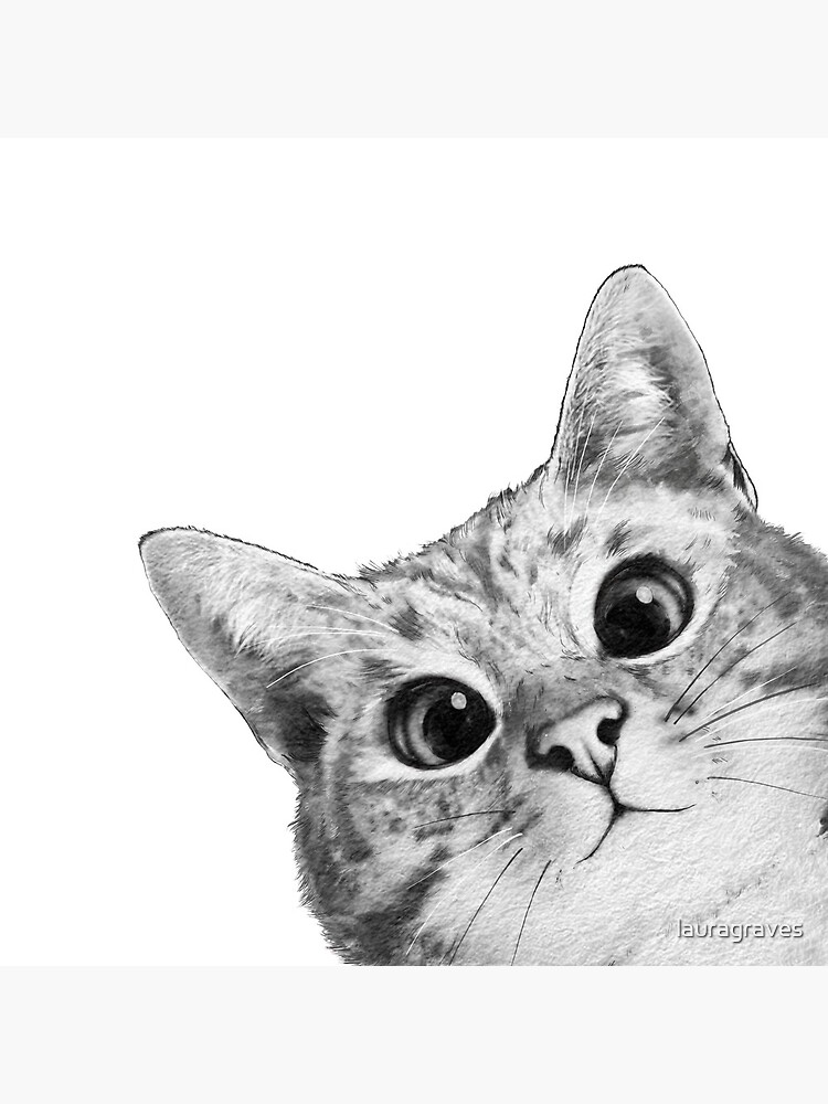 sneaky cat by lauragraves