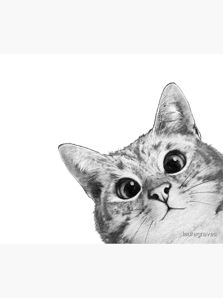sneaky cat by lauragraves