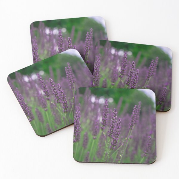 Artikelvorschau, Lavender flowers in the field entworfen und verkauft von LiguxKon.