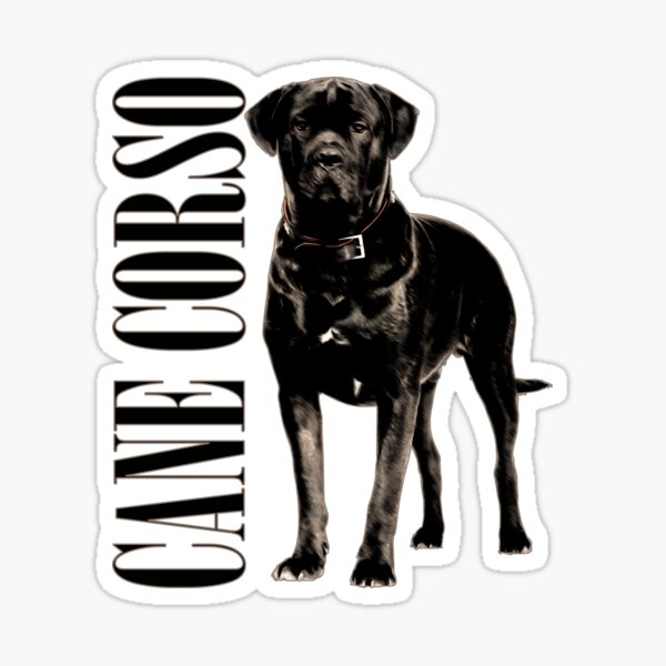 Cane Corso - Italienischer Mastiff Sticker