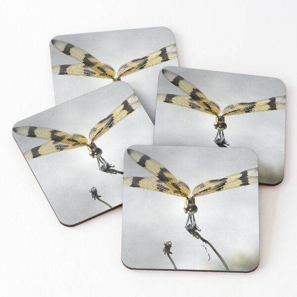 Item preview, Halloween Pennant Dragonfly designed and sold by MercerImages.