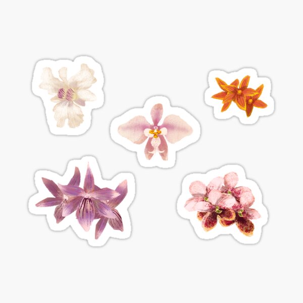 Item preview, philippine orchids designed and sold by baasama.