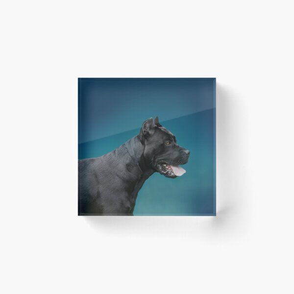 Item preview, Cane Corso - Italian Mastiff designed and sold by k9printart.