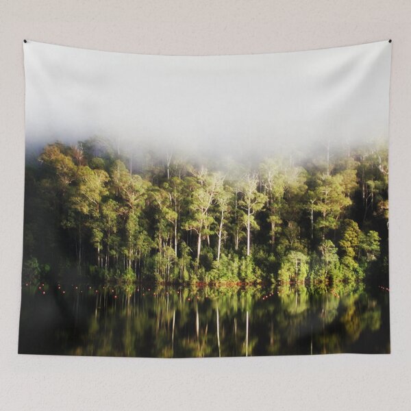 Item preview, Fog and Reflections designed and sold by cjcphotography.