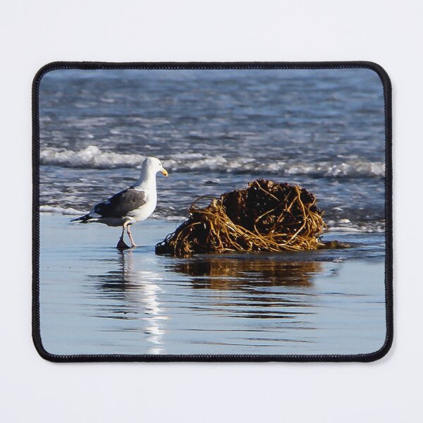 Item preview, Is This a Nest? designed and sold by heatherfriedman.