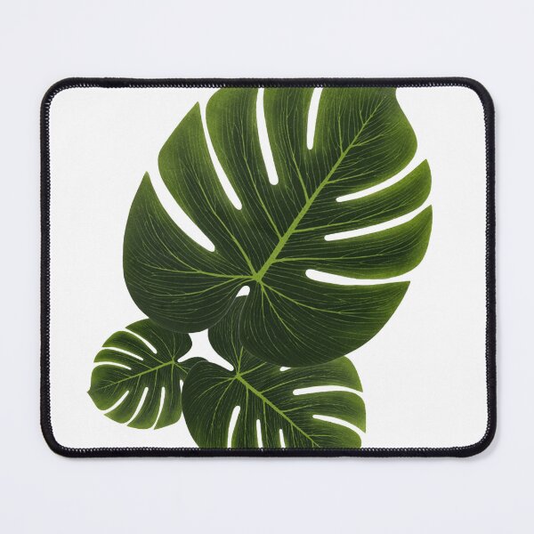 Item preview, Green monstera designed and sold by Marcin-83.