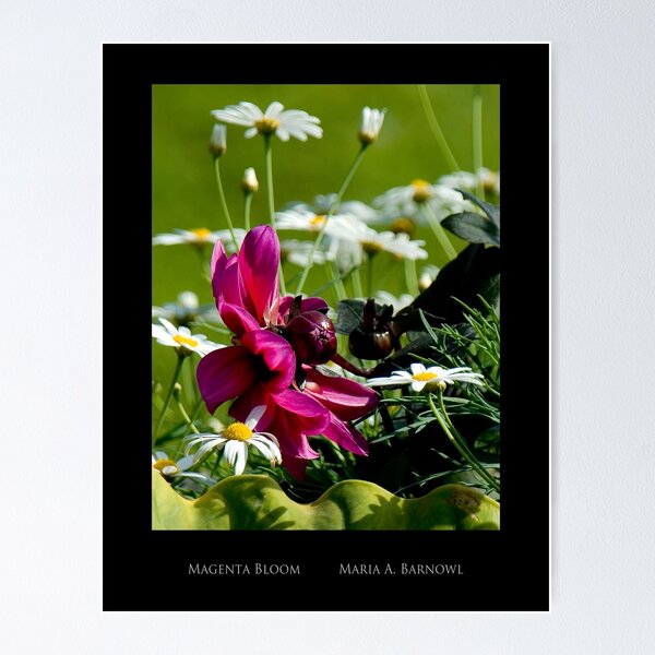Item preview, Magenta Bloom - Cool Stuff designed and sold by Maria A. Barnowl.