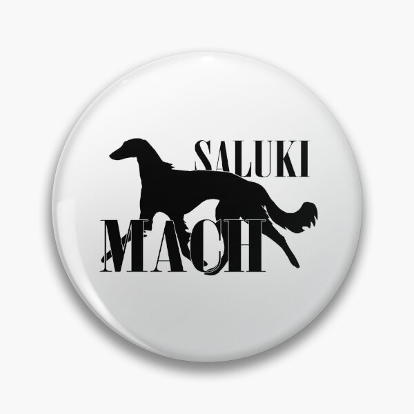 Artikelvorschau, AKC Saluki MACH-Titel entworfen und verkauft von Adventuring Borders.