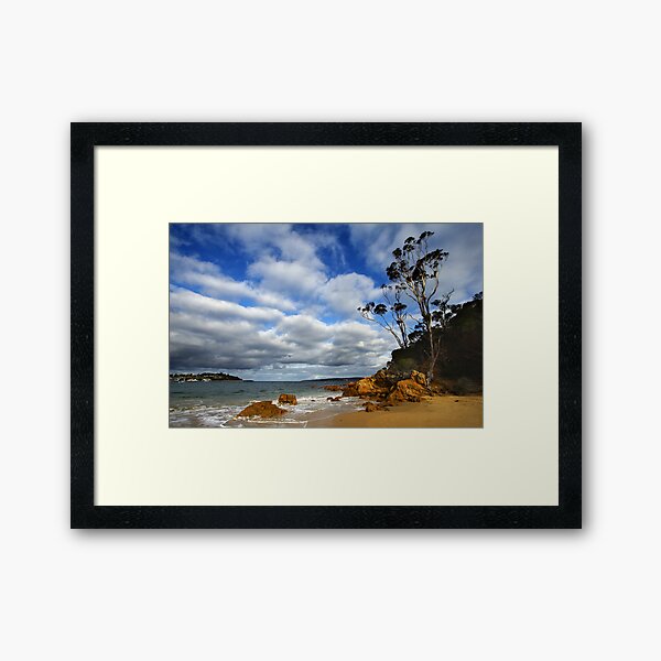 Item preview, Cocora Beach - Eden designed and sold by Darren Stones.