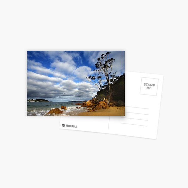 Item preview, Cocora Beach - Eden designed and sold by Darren Stones.