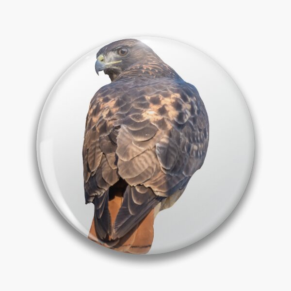 Item preview, Red-tailed Hawk designed and sold by baegel.