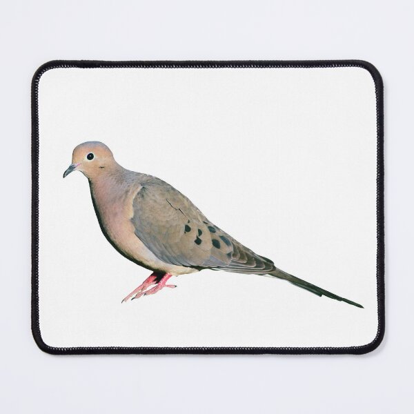 Item preview, Mourning Dove designed and sold by baegel.