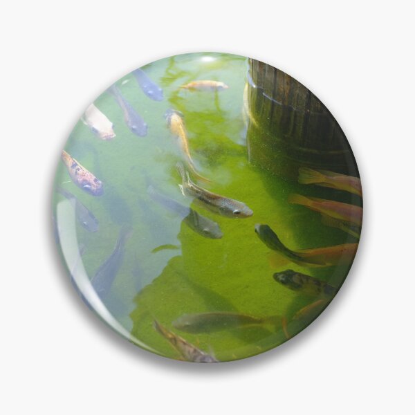 Item preview, Graceful Fish Swimming in a Tranquil Pond designed and sold by photographerst.