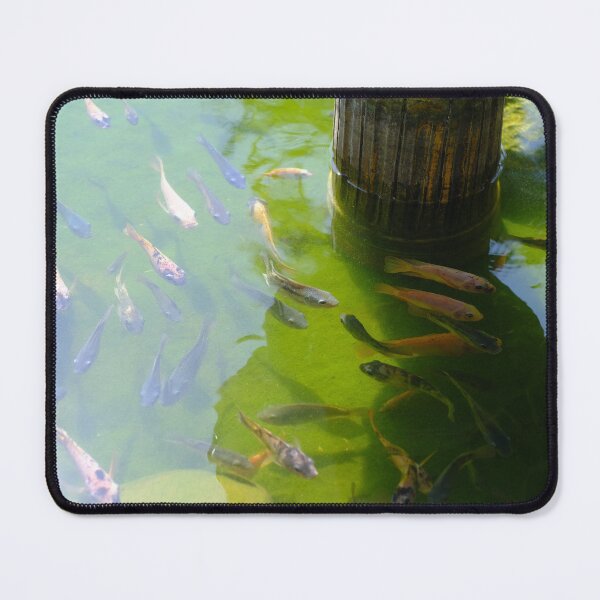 Item preview, Graceful Fish Swimming in a Tranquil Pond designed and sold by photographerst.