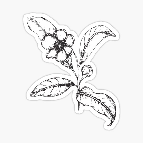 Simple and clean tea ink illustration Sticker
