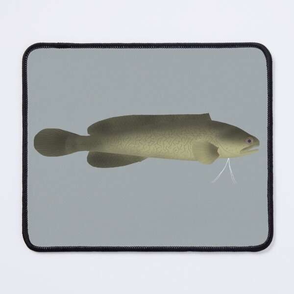 Item preview, River Blackfish designed and sold by fishfolkart.