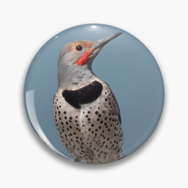 Item preview, Northern Flicker designed and sold by baegel.