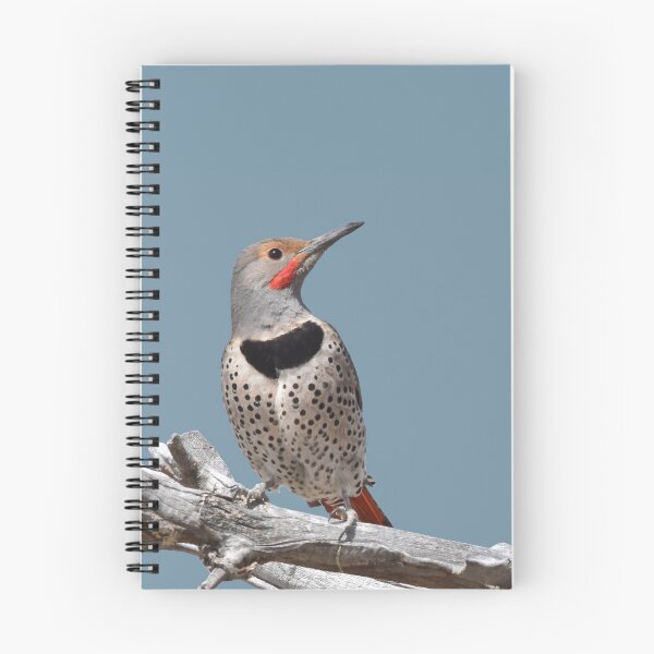 Item preview, Northern Flicker designed and sold by baegel.