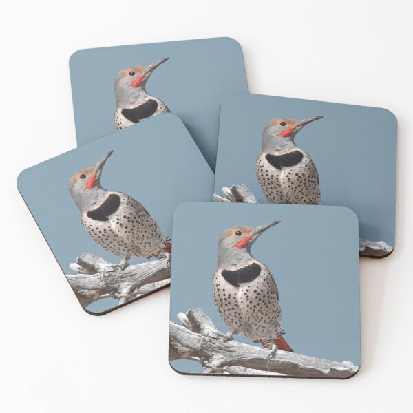 Item preview, Northern Flicker designed and sold by baegel.