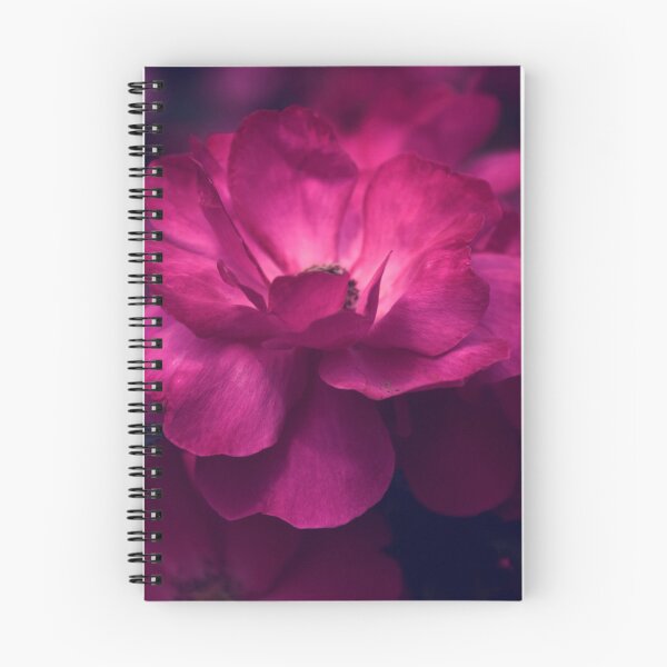 Item preview, Claret Rose designed and sold by Jessica Jenney.