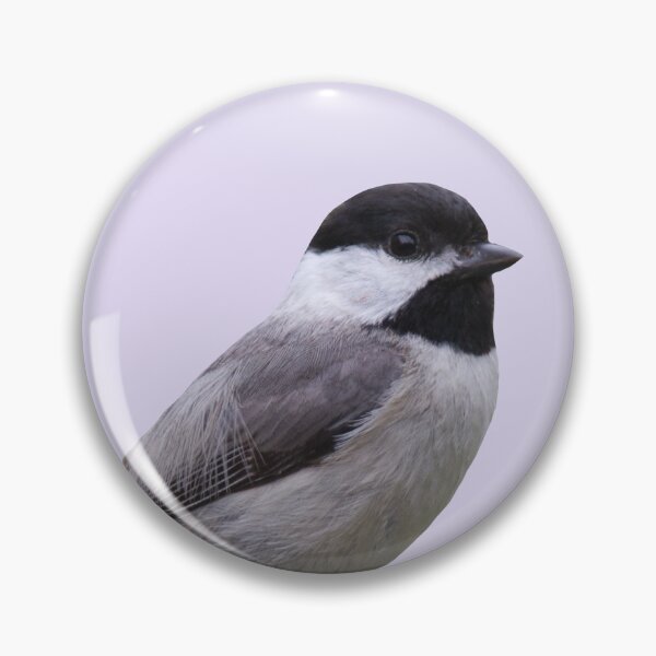 Item preview, Carolina Chickadee designed and sold by baegel.