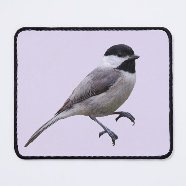 Item preview, Carolina Chickadee designed and sold by baegel.