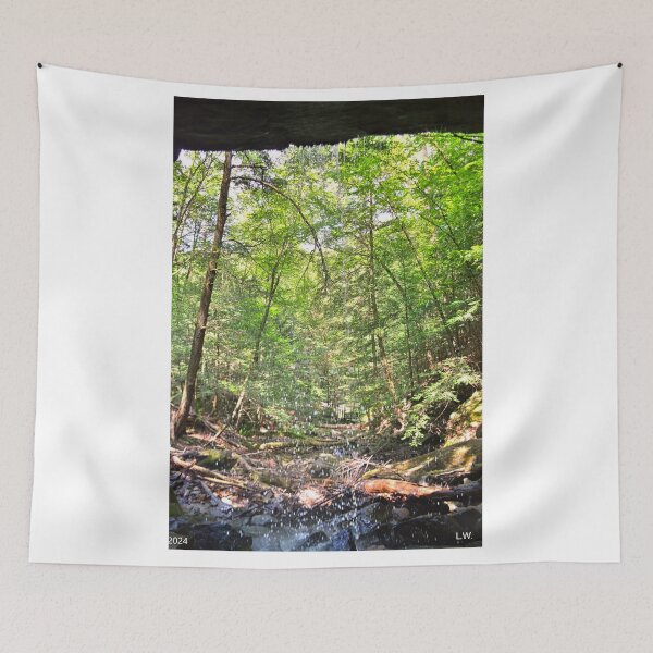 Item preview, Behind The Waterfall At McConnells Mills State Park PA Vertical designed and sold by LisaWootenPhoto.