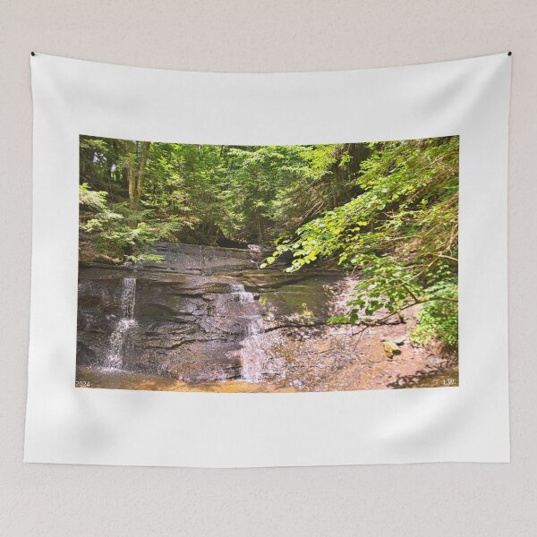 Item preview, McConnells Mill State Park PA Waterfall designed and sold by LisaWootenPhoto.