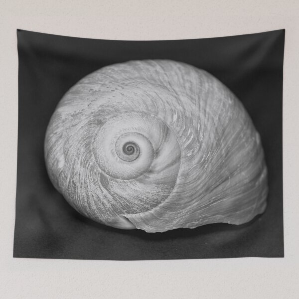 Item preview, Sea shell in monochrome designed and sold by Cblifeisgood.