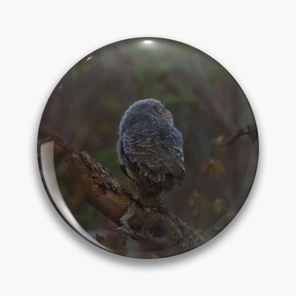 Item preview, Screech owlet first moment out of nest designed and sold by locustgirl.