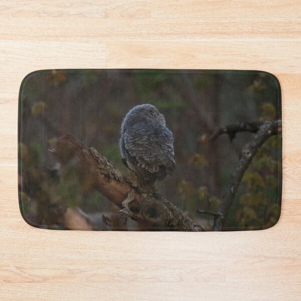 Item preview, Screech owlet first moment out of nest designed and sold by locustgirl.