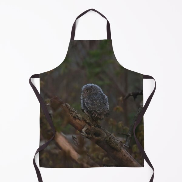 Item preview, Screech owlet exploration designed and sold by locustgirl.