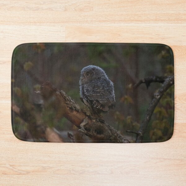 Item preview, Screech owlet exploration designed and sold by locustgirl.