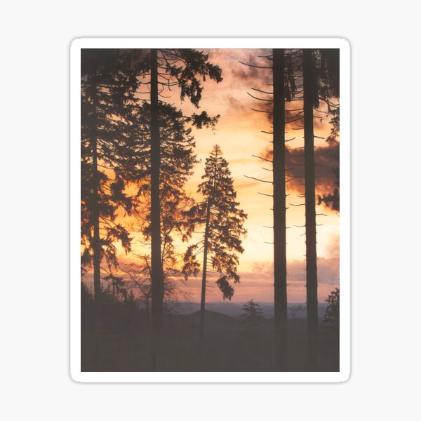 Item preview, True Romance // Romantasy Wanderlust Summer Sunset Forest With Cascadia Trees Covered In Warm Sun Light designed and sold by Tordis Kayma.