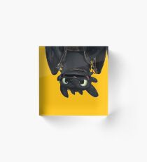 Upside Down Toothless Acrylic Block