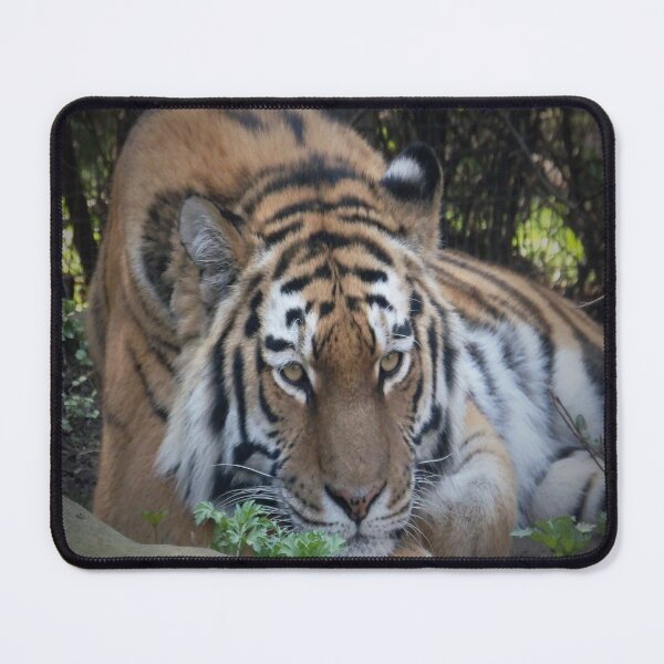 Item preview, VIENNESE TIGER designed and sold by RachelMacht.