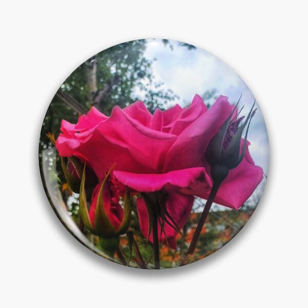 Item preview, A singular rose designed and sold by dawnsm.