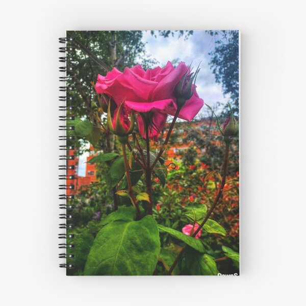 Item preview, A singular rose designed and sold by dawnsm.