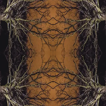 Artwork thumbnail, Symmetrical Pattern - Roots by WWArtCollection