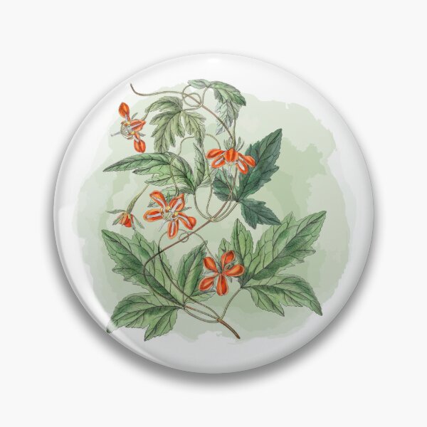 Item preview, Red Coccinea Botanical Flower designed and sold by WildWoodlandWitch.
