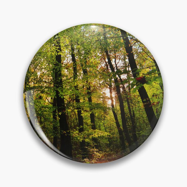 Item preview, Photograph of a forest with sunlight peeking through designed and sold by Vetagio.