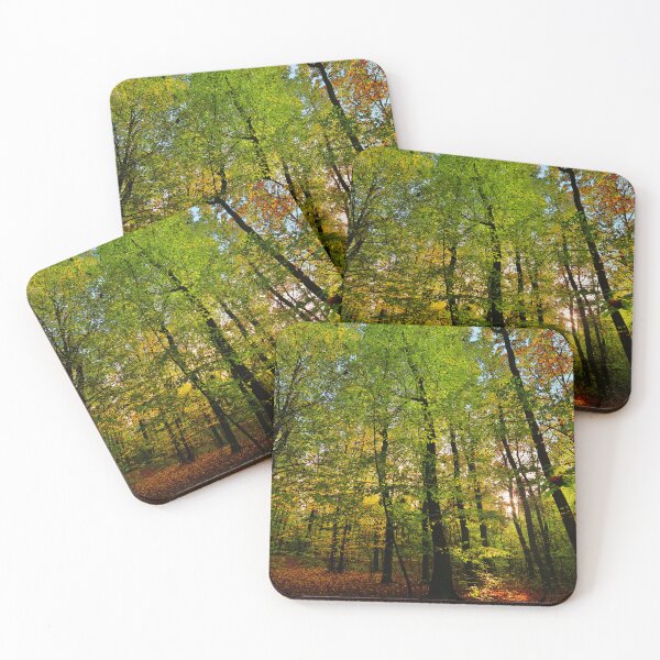 Item preview, Photograph of a forest with sunlight peeking through designed and sold by Vetagio.