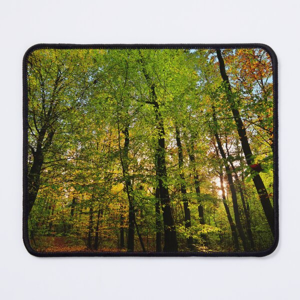 Item preview, Photograph of a forest with sunlight peeking through designed and sold by Vetagio.