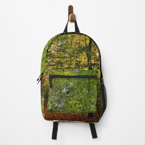 Item preview, Photograph of a forest with sunlight peeking through designed and sold by Vetagio.
